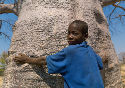 Mudimba tribe boy putting his arms aroud a baobab trunk, Cunene Province, Kuroca, Angola