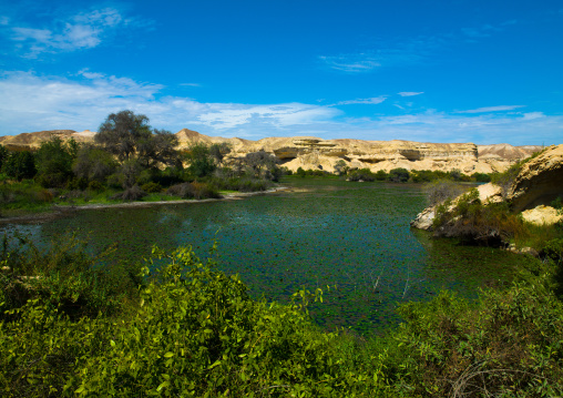 Lake Arco freshwater oasis, Namibe Province, Njambasana, Angola