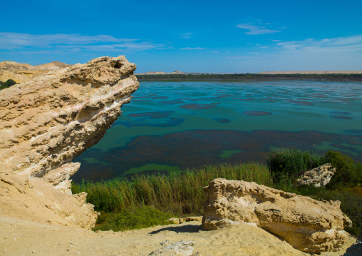 Lake Arco freshwater oasis, Namibe Province, Njambasana, Angola