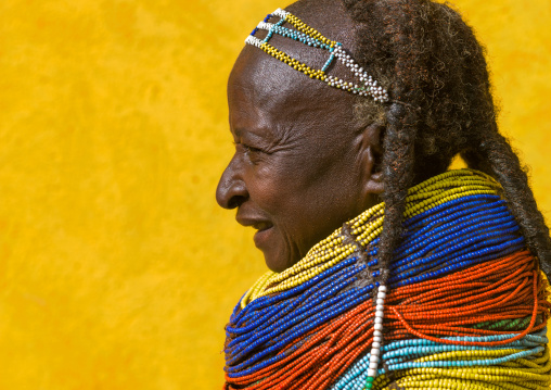 Side view of a Mumuhuila tribe woman, Huila Province, Chibia, Angola