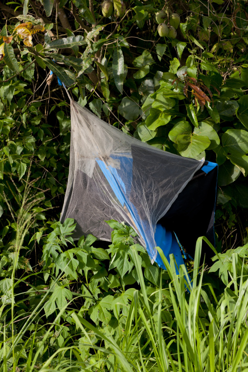 Mosquito Net Against Malaria, Angola