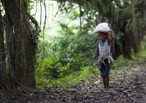 Woman Carrying A Sack On Her Head, N Dalatando Botanical Garden, Angola