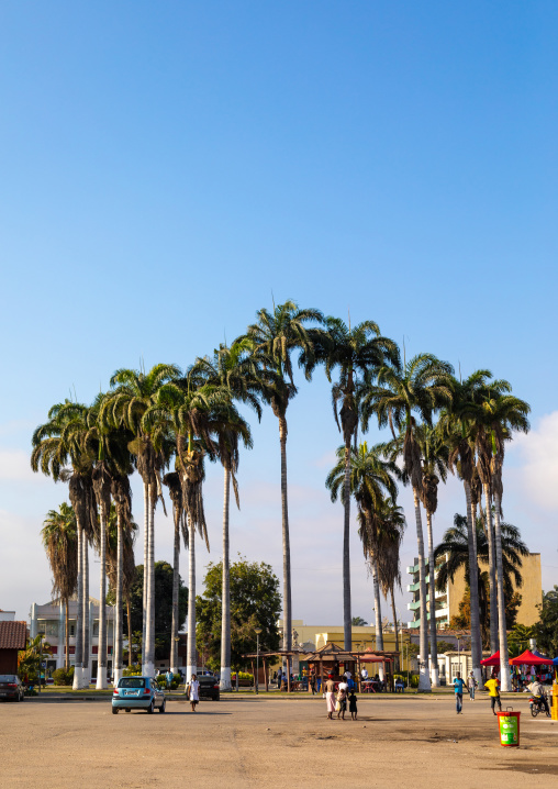 Palm trees on a square, Benguela Province, Benguela, Angola