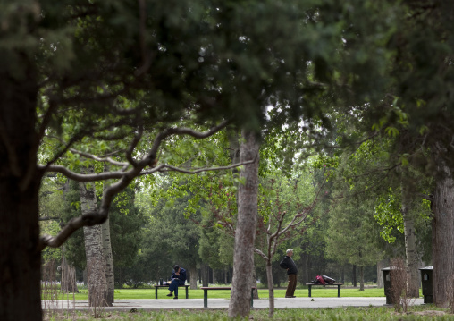 Old Poeple Doing Gymnastic In A Park, Beijing, China