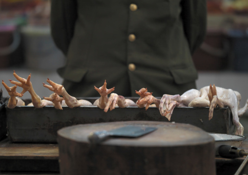 Chicken Seller In A Market, Zhongdian, Yunnan Province, China