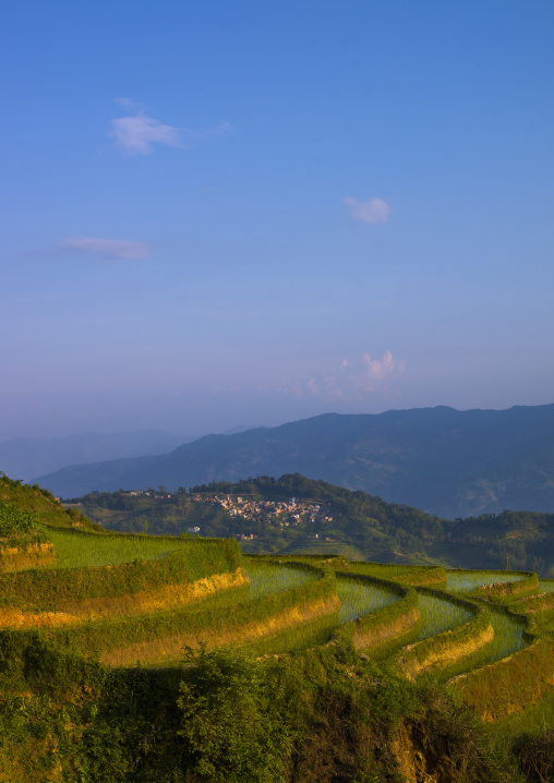 Green Rice Terraces Of Hani People In Yuanyang, Yunnan Province, China