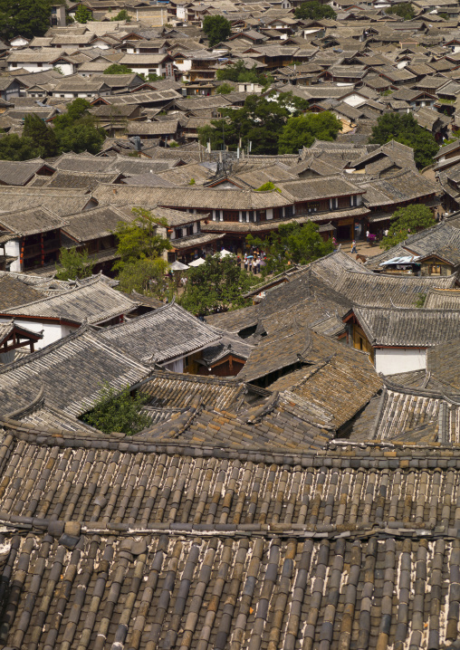 Roof Tops Of Old Town, Lijiang, Yunnan Province, China