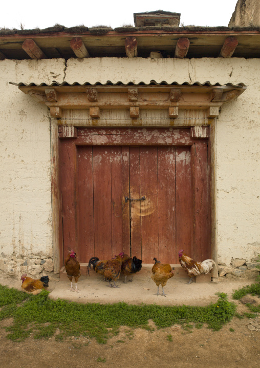 Gadain Sumzanling Monastery, Zhongdian, Yunnan Province, China