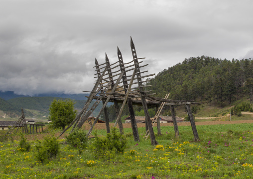 Pillars Woods For Harvests, Zhongdian , Yunnan Province, China