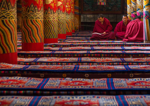 Monks praying and meditating inside Longwu monastery, Tongren County, Longwu, China