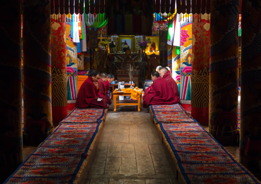 Monks praying and meditating inside Longwu monastery, Tongren County, Longwu, China