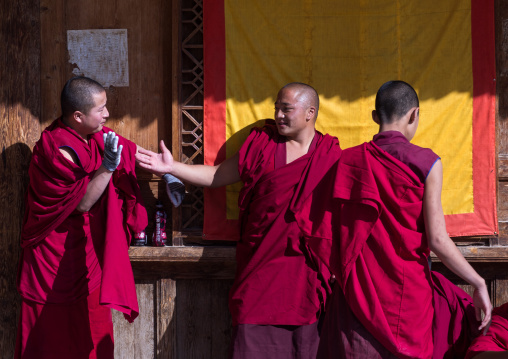 Monks in Rongwo monastery, Tongren County, Longwu, China