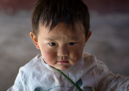 Portrait of a tibetan nomad boy with his cheeks reddened by the harsh weather in Rongwo monastery, Tongren County, Longwu, China