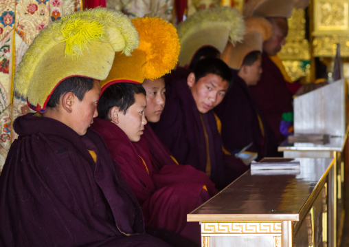 Young monks from yellow hat sect praying in Bongya monastery, Qinghai province, Mosele, China