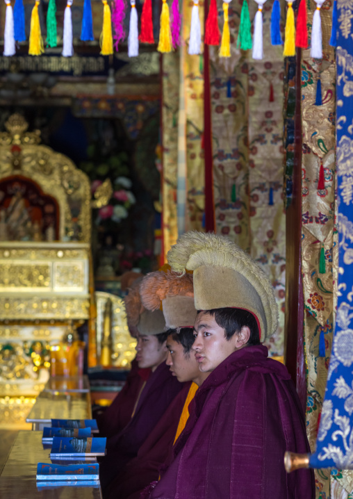 Monks from yellow hat sect praying in Bongya monastery, Qinghai province, Mosele, China