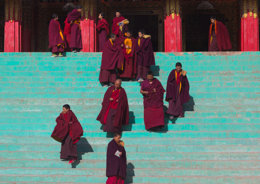 Tibetan monks of the gelug order or yellow hat sect on the stairs in front of the assembly hall in Bongya monastery, Qinghai province, Mosele, China