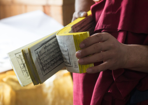 Monk showing some tibetan scriptures printed from wooden blocks in the monastery traditional printing temple, Gansu province, Labrang, China