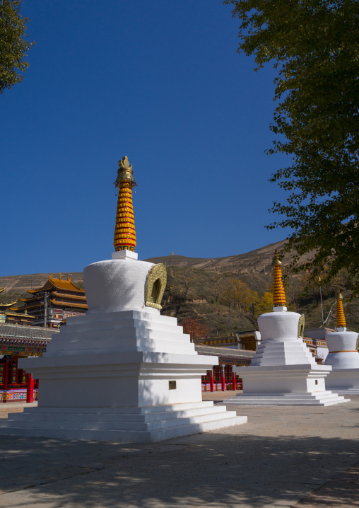 Stupas in Wutun si monastery, Qinghai province, Wutun, China