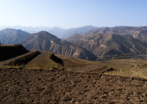 Rice plantation in the mountains, Tongren County, Rebkong, China