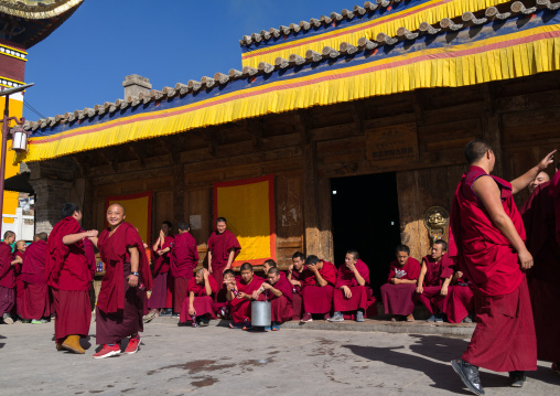 Monks in Rongwo monastery, Tongren County, Longwu, China