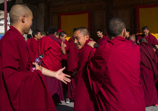 Monks in Rongwo monastery, Tongren County, Longwu, China