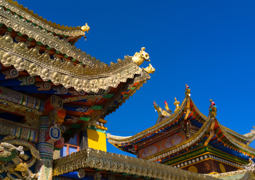 Temple roofs in Rongwo monastery, Tongren County, Longwu, China