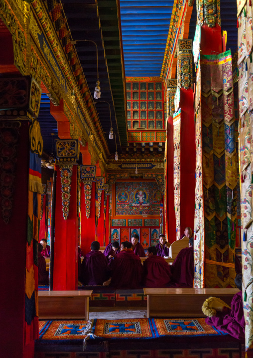 Monks from yellow hat sect praying in Bongya monastery, Qinghai province, Mosele, China