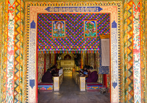 Monks from yellow hat sect praying in Bongya monastery, Qinghai province, Mosele, China