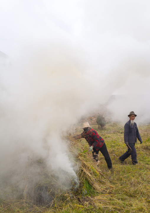 Tibetan people cleaning a field in Hezuo monastery, Gansu province, Hezuo, China