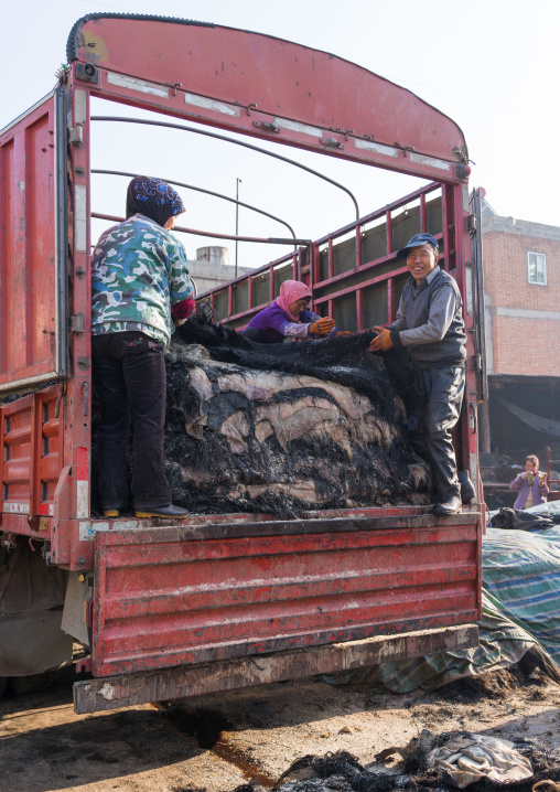 Muslim Hui people pulling yout yak skins from a truck, Gansu province, Linxia, China