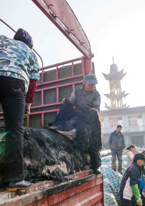 Muslim Hui people pulling yout yak skins from a truck, Gansu province, Linxia, China