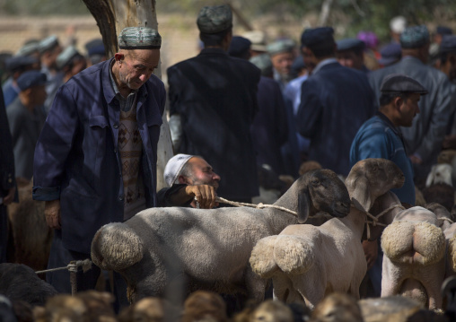 Uyghur Men Choosing Cattle, Opal Village Market, Xinjiang Uyghur Autonomous Region, China