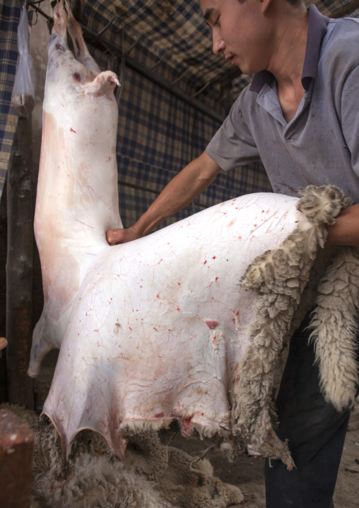 Young Uyghur Man Removing The Skin Of A Sheep, Keriya, Old Town, Xinjiang Uyghur Autonomous Region, China