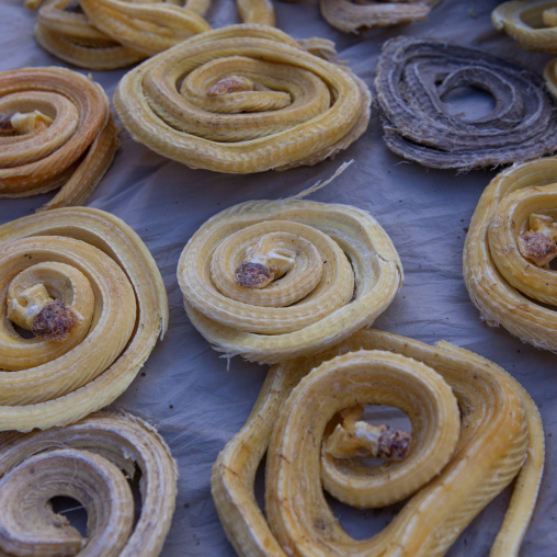 Dry Snakes Used As A Cure, Serik Buya Market, Yarkand, Xinjiang Uyghur Autonomous Region, China