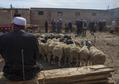 Uyghur Men Discussing Around Cattle, Serik Buya Market, Yarkand, Xinjiang Uyghur Autonomous Region, China