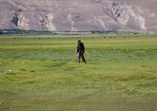 Boy collcting yak dungs to make fire, Badakhshan province, Qazi deh, Afghanistan