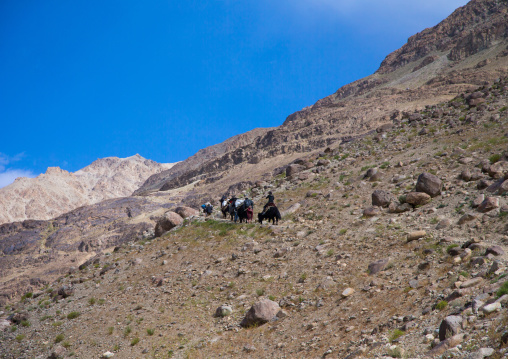 Treck in the pamir mountains with yaks, Big pamir, Wakhan, Afghanistan