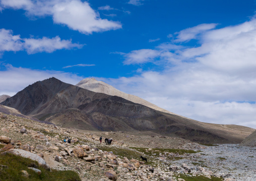 Treck in the pamir mountains with yaks, Big pamir, Wakhan, Afghanistan