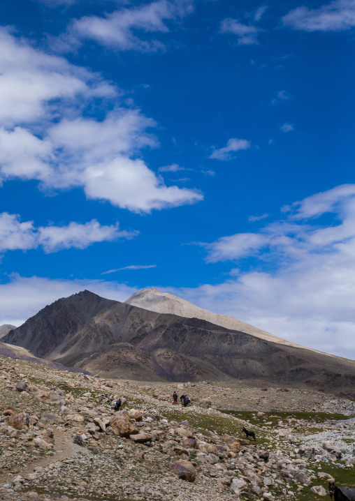 Treck in the pamir mountains with yaks, Big pamir, Wakhan, Afghanistan