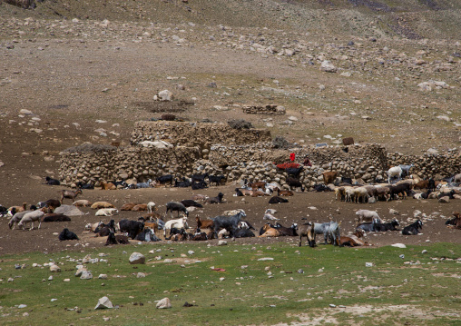 Wakhi village in the pamir mountains, Big pamir, Wakhan, Afghanistan