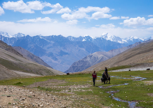 Treck in the pamir mountains with yaks, Big pamir, Wakhan, Afghanistan