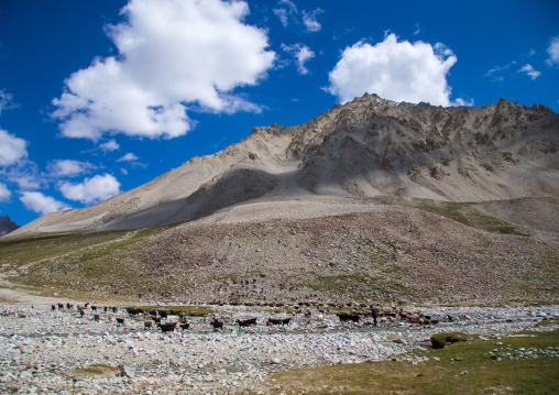 Sheperd in the pamir mountains, Big pamir, Wakhan, Afghanistan