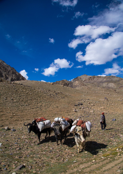 Treck in the pamir mountains with yaks, Big pamir, Wakhan, Afghanistan