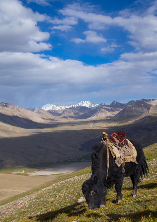 Treck in the pamir mountains with yaks, Big pamir, Wakhan, Afghanistan