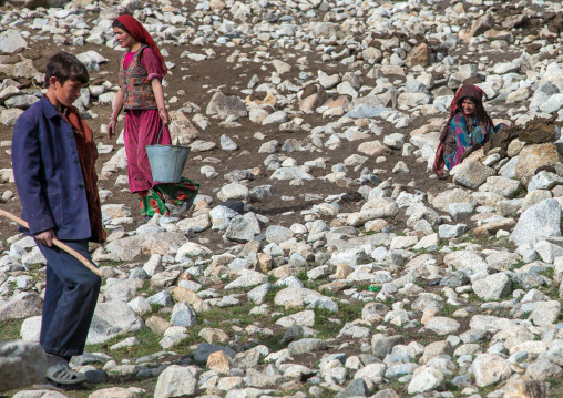 Wakhi nomads collecting yak dungs, Big pamir, Wakhan, Afghanistan