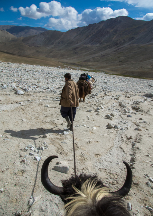 Treck in the pamir mountains with yaks, Big pamir, Wakhan, Afghanistan