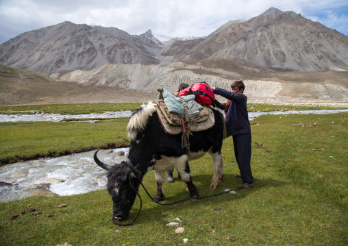 Treck in the pamir mountains with yaks, Big pamir, Wakhan, Afghanistan