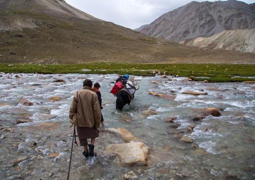 Yaks crossing a river during a treck, Big pamir, Wakhan, Afghanistan