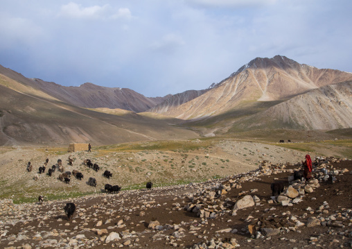 Wakhi village in the mountains, Big pamir, Wakhan, Afghanistan