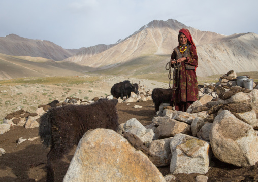 Wakhi nomad woman taking care of her yaks, Big pamir, Wakhan, Afghanistan